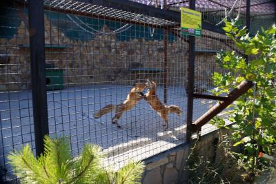 Прикрепленное изображение: A58DSC00333-1.jpg